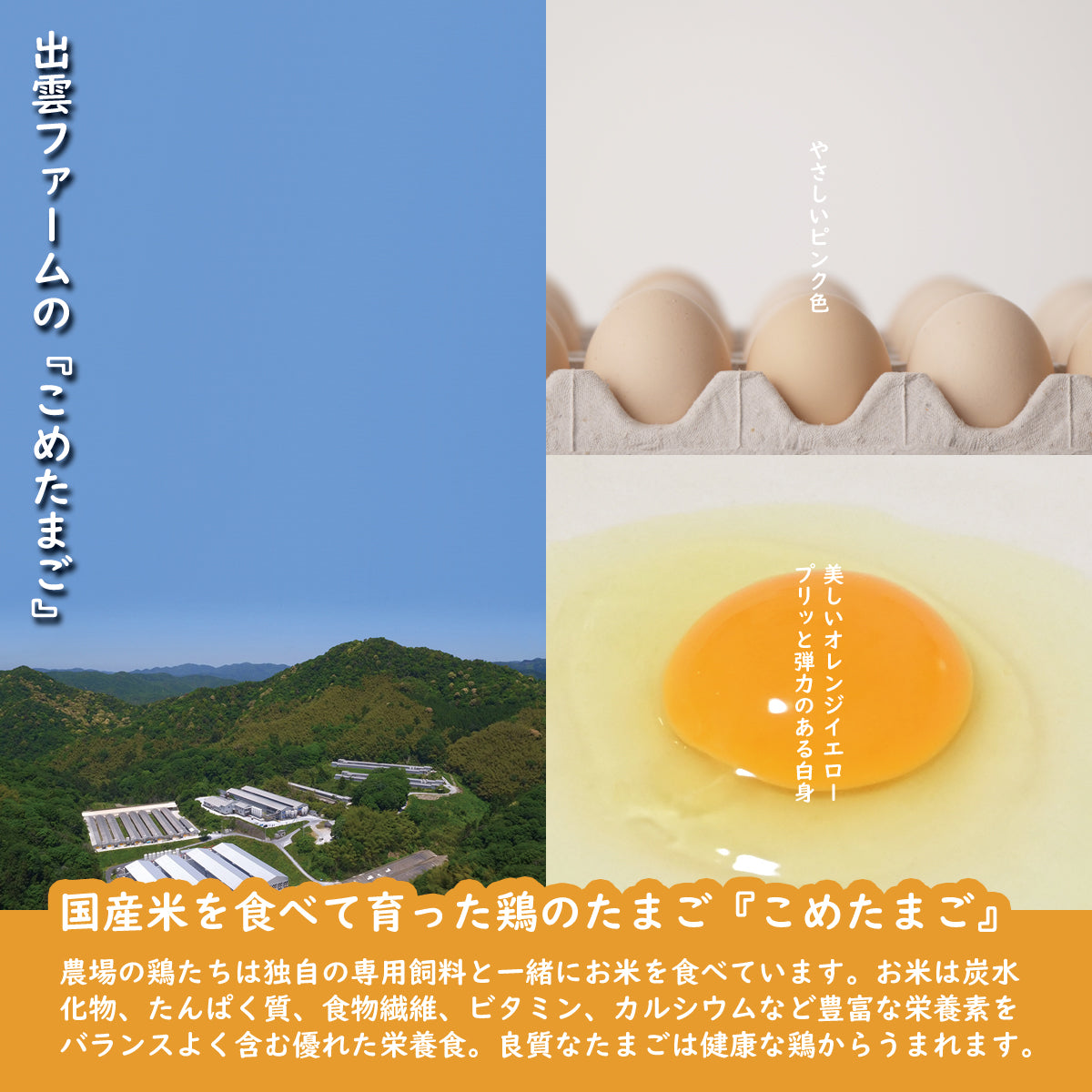 大暑たまご 30個(土用たまご / こめたまご / 出雲ファーム)