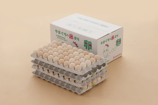 たくさんの卵とダンボール箱