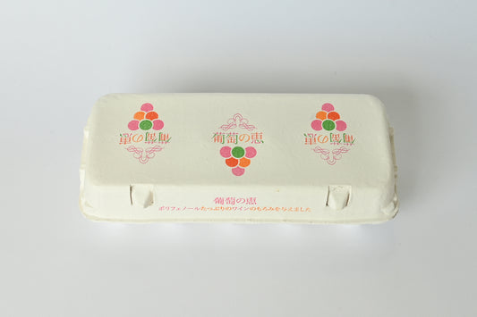 葡萄の恵 10個入りパック