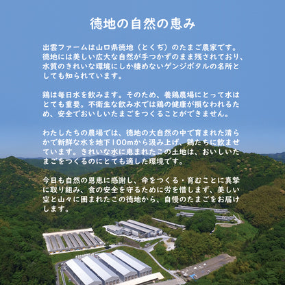 大暑たまご 30個（土用たまご / こめたまご / 出雲ファーム）